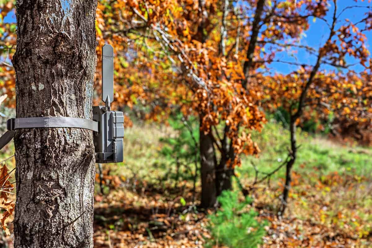 28± Acre Hunting Property with Cabin | Monroe County, Wisconsin