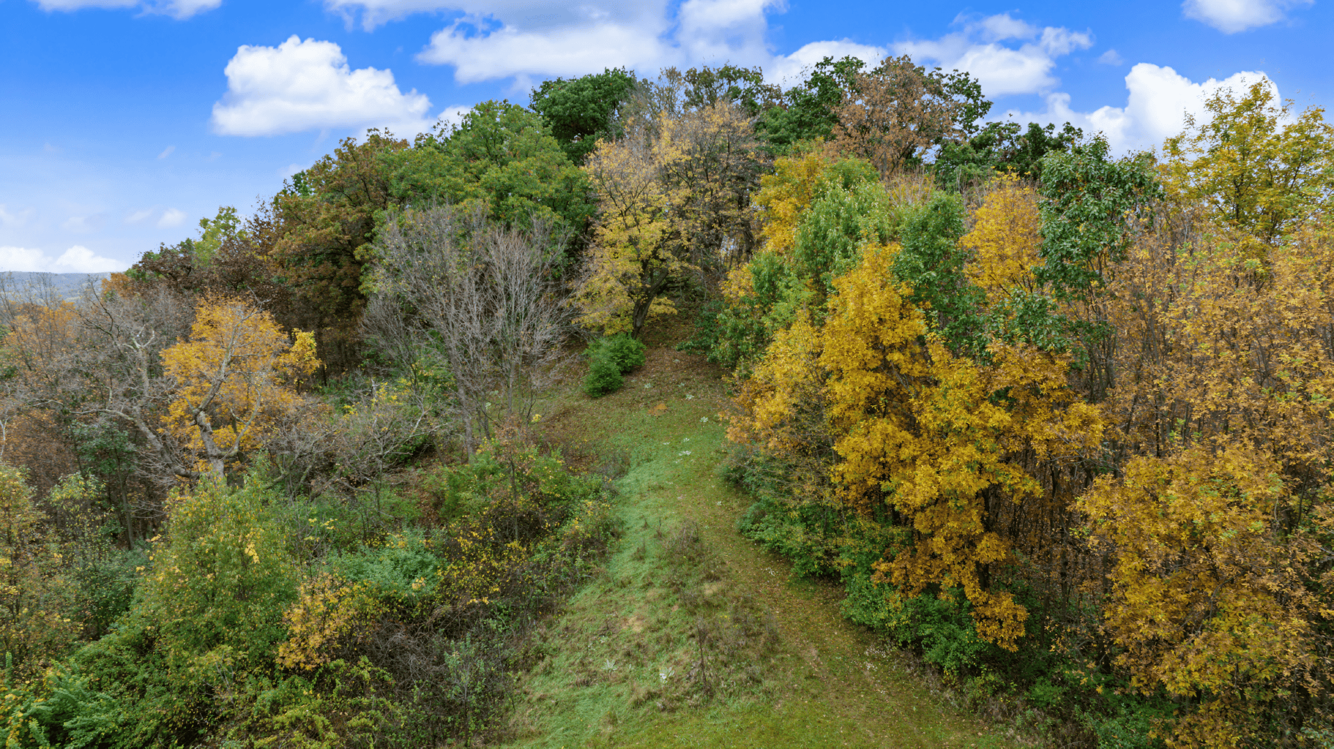 95.02-Acre Premier Whitetail Hunting Estate with Log Cabin, Pond & Spring-Fed Stream in Richland County, Wisconsin