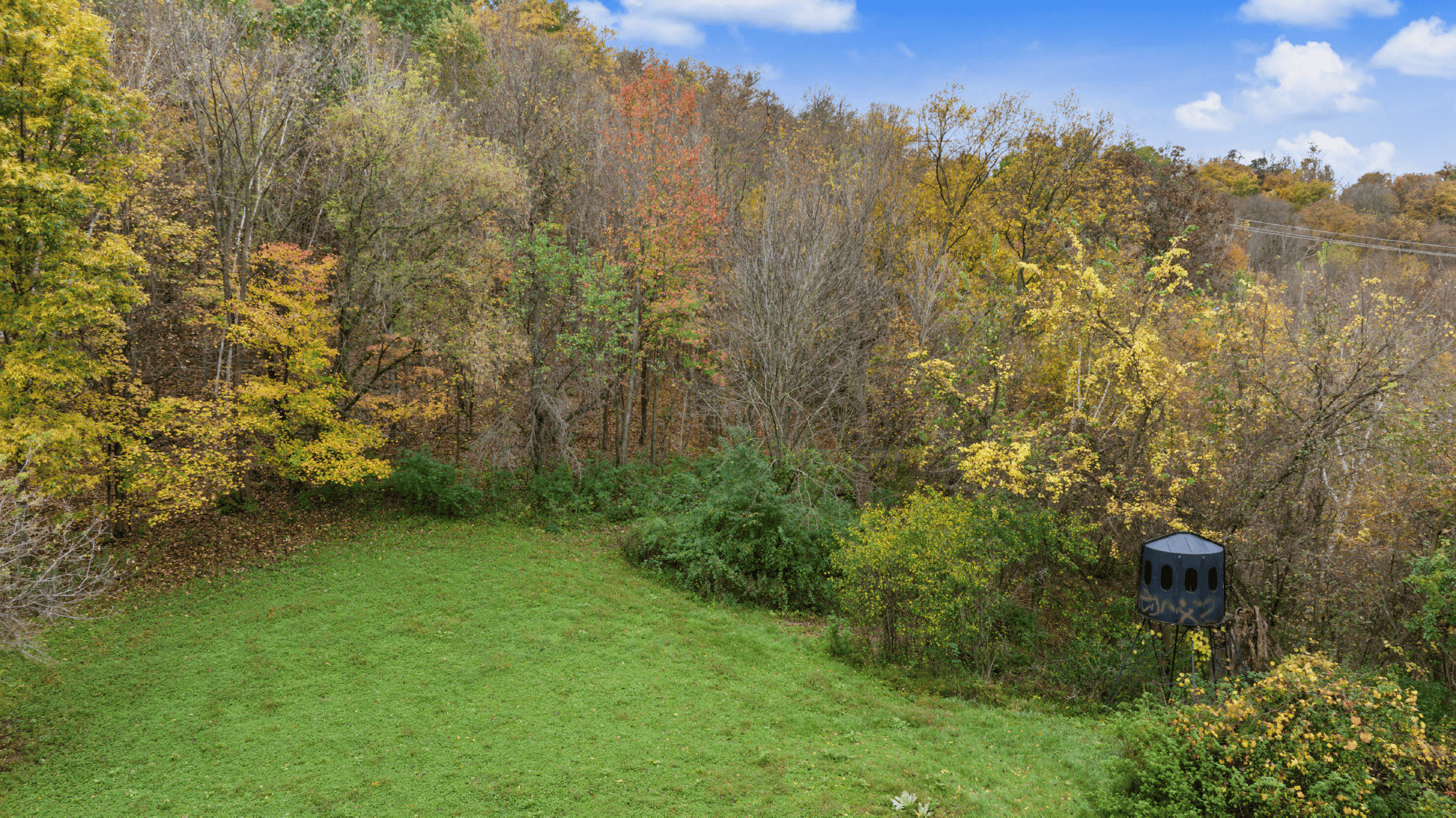 95.02-Acre Premier Whitetail Hunting Estate with Log Cabin, Pond & Spring-Fed Stream in Richland County, Wisconsin