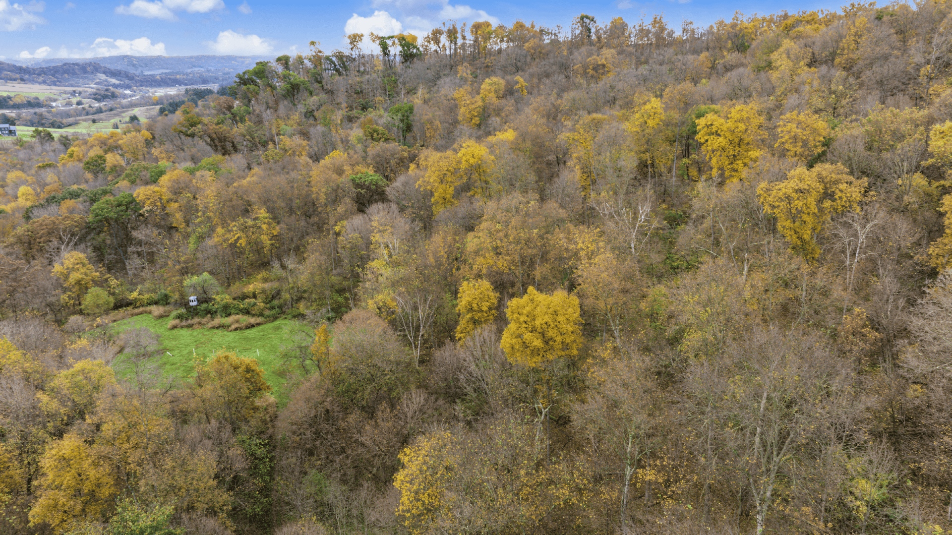 95.02-Acre Premier Whitetail Hunting Estate with Log Cabin, Pond & Spring-Fed Stream in Richland County, Wisconsin