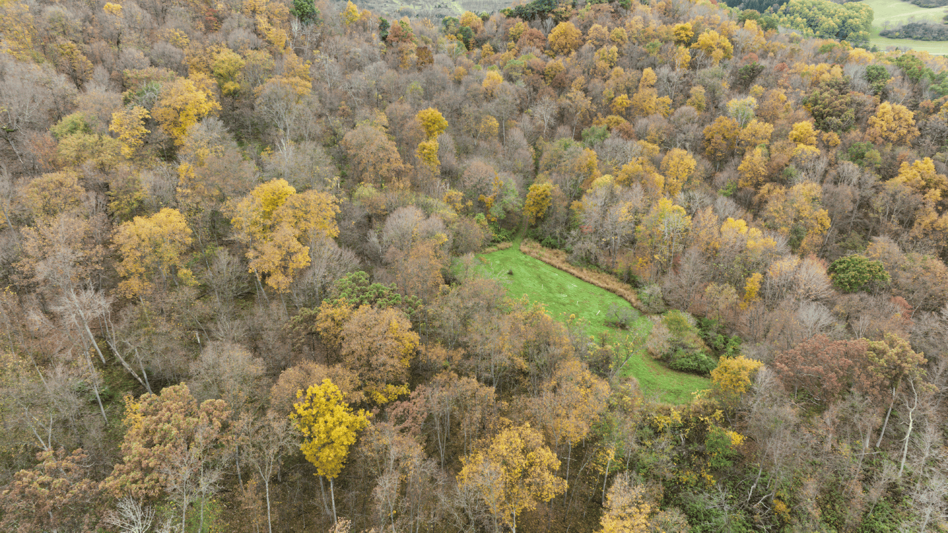 95.02-Acre Premier Whitetail Hunting Estate with Log Cabin, Pond & Spring-Fed Stream in Richland County, Wisconsin