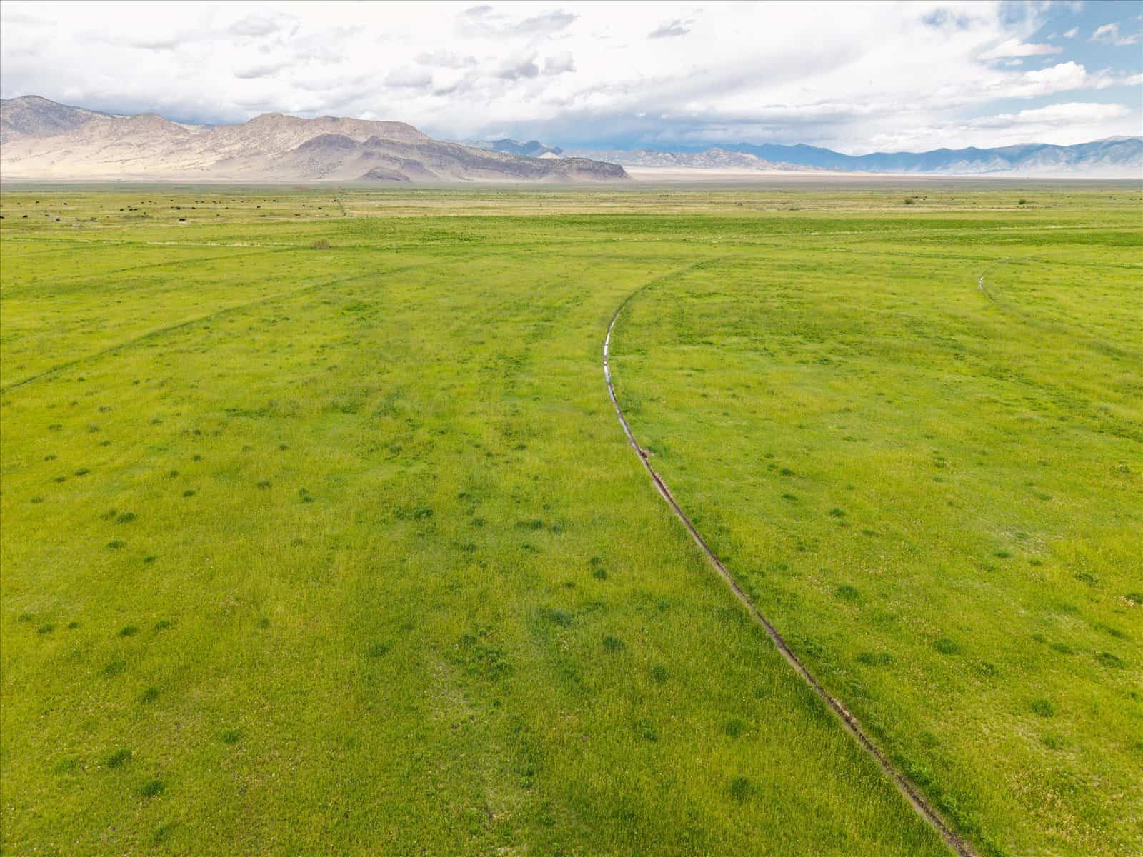 1,280± Acre Hay Ranch for Sale Near Saguache, CO