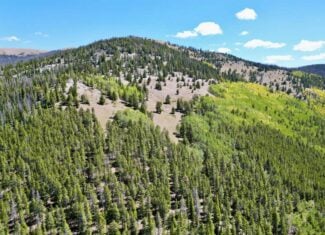 140 ± Acre Mountain Property for Sale in Whitepine, Colorado