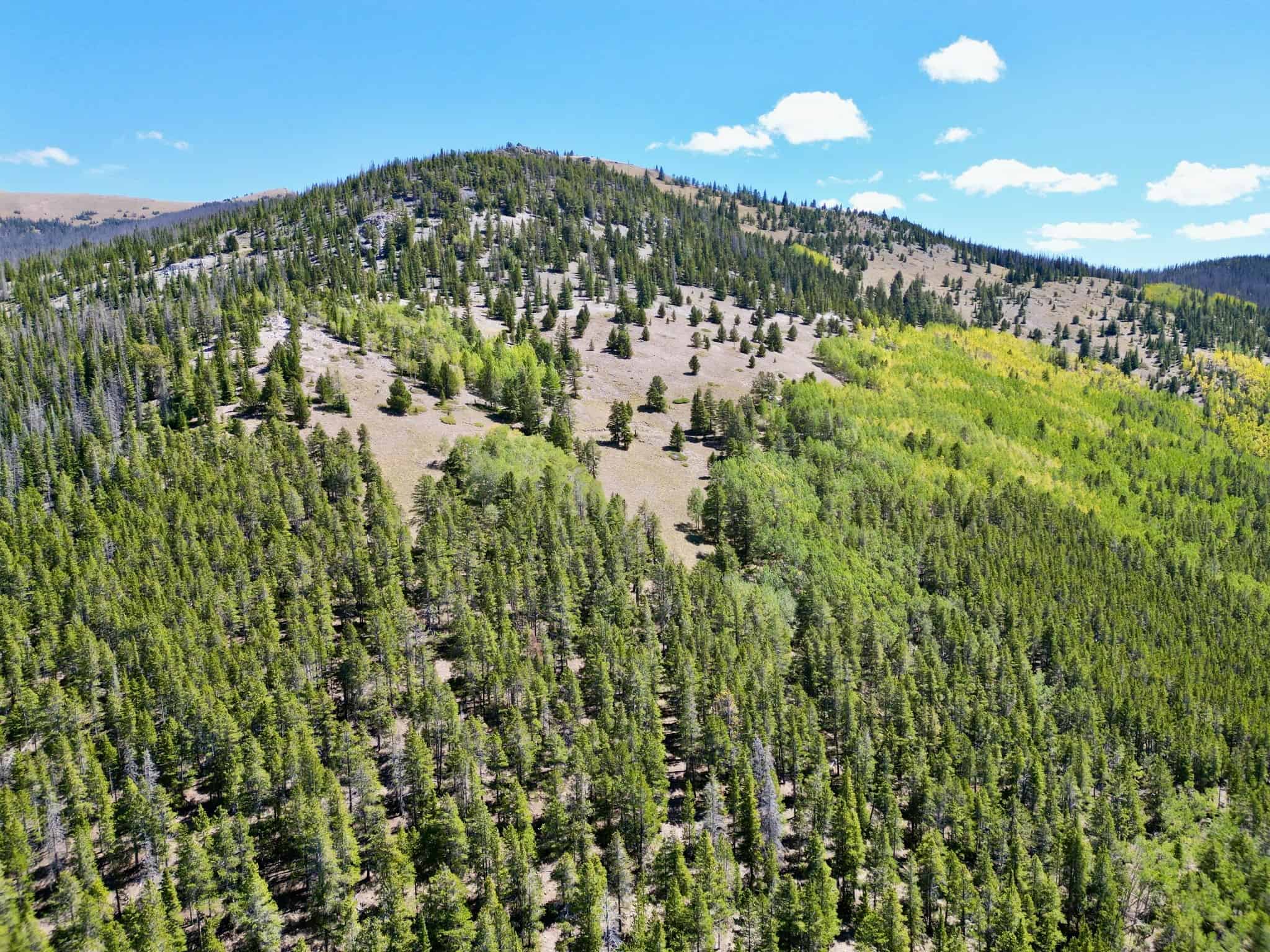 140 ± Acre Mountain Property for Sale in Whitepine, Colorado