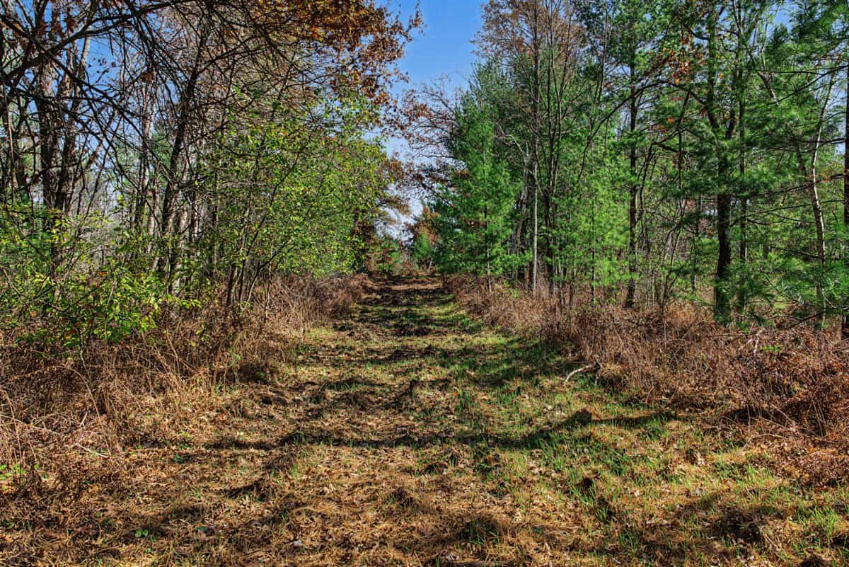 28± Acre Hunting Property with Cabin | Monroe County, Wisconsin