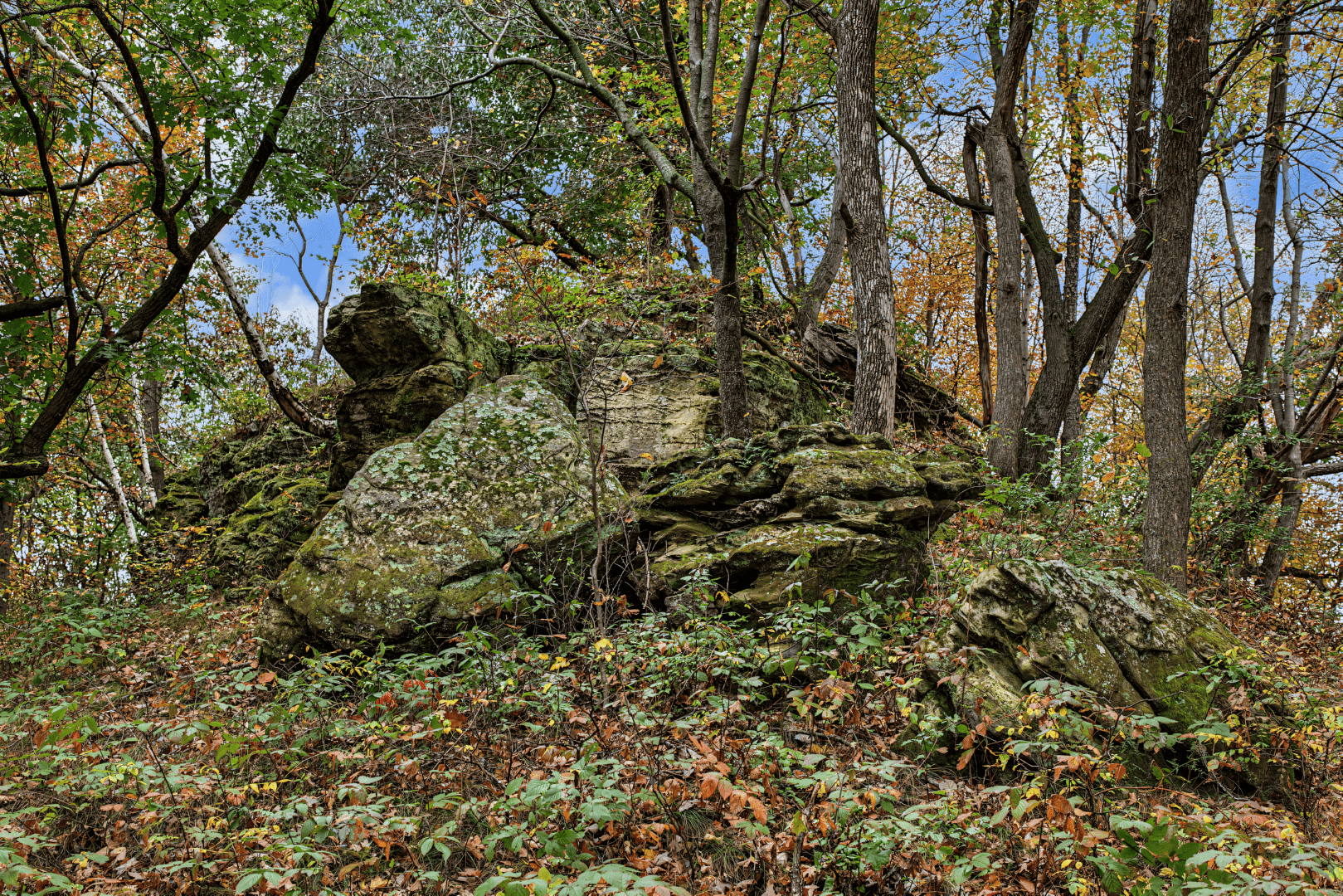 95.02-Acre Premier Whitetail Hunting Estate with Log Cabin, Pond & Spring-Fed Stream in Richland County, Wisconsin