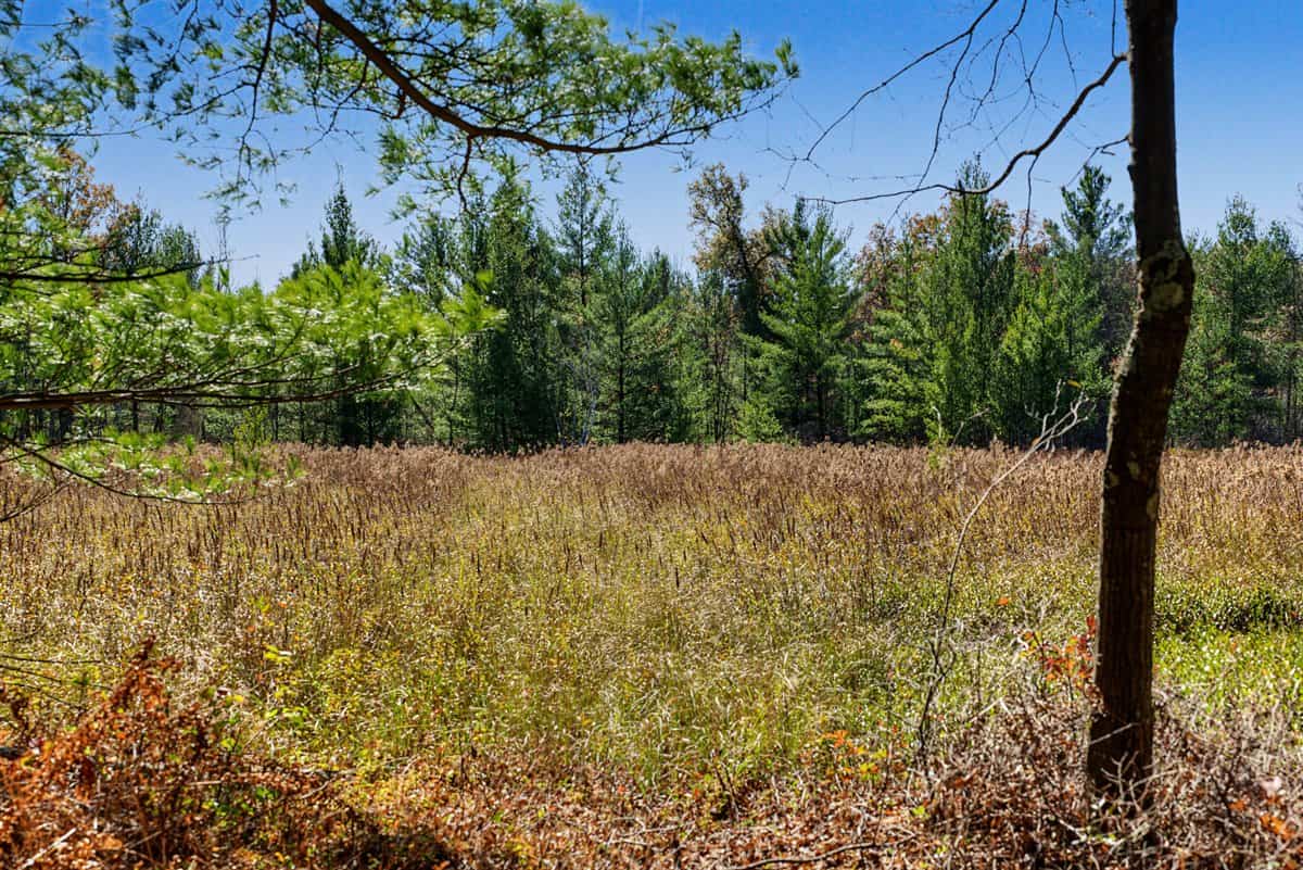 28± Acre Hunting Property with Cabin | Monroe County, Wisconsin