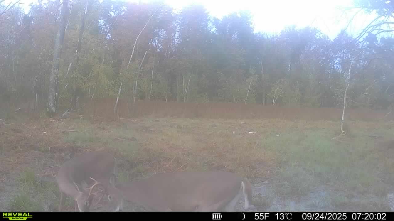28± Acre Hunting Property with Cabin | Monroe County, Wisconsin