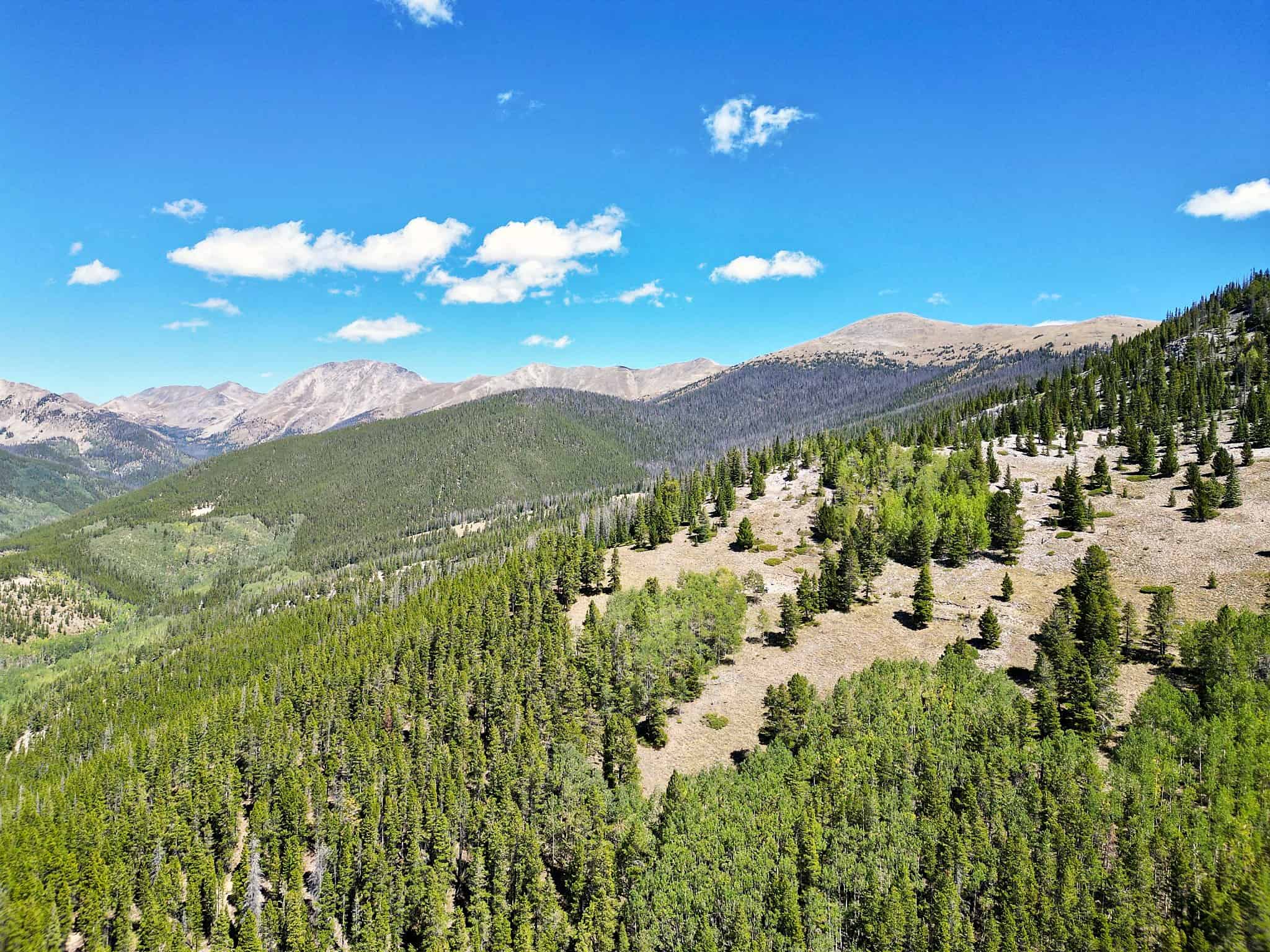 140 ± Acre Mountain Property for Sale in Whitepine, Colorado