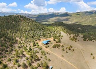 44 ± Acre Luxury Mountain Home for Sale Near Cotopaxi, CO