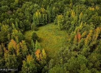 900 Acres for Sale – Hunter’s Paradise South Mississippi