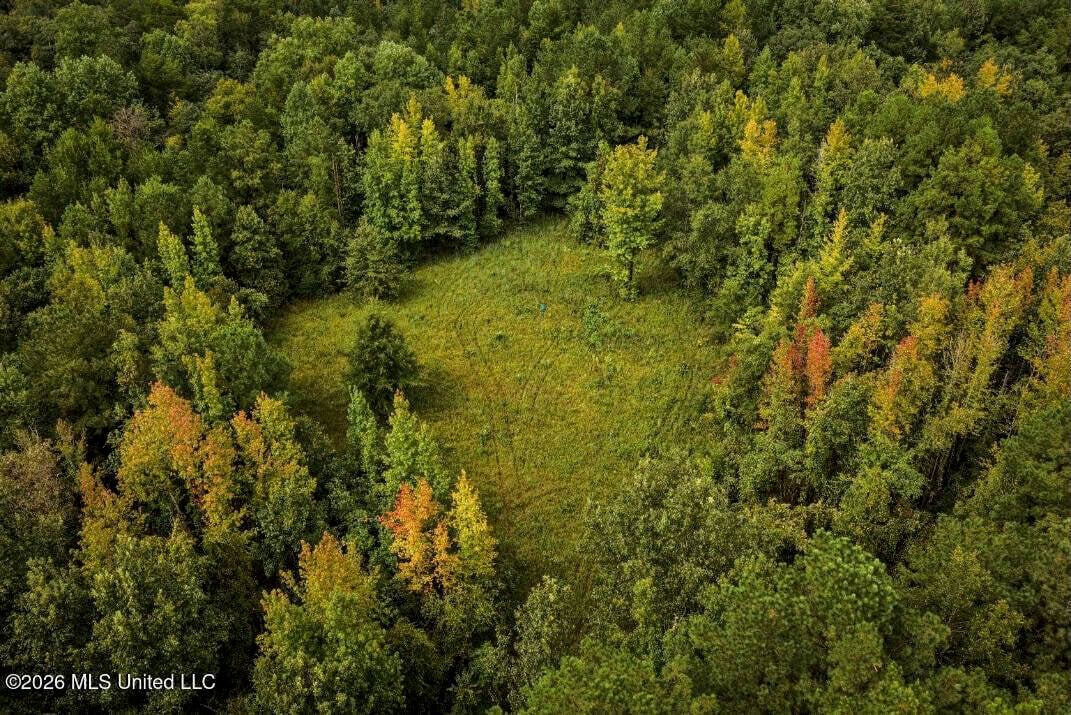 900 Acres for Sale – Hunter’s Paradise South Mississippi