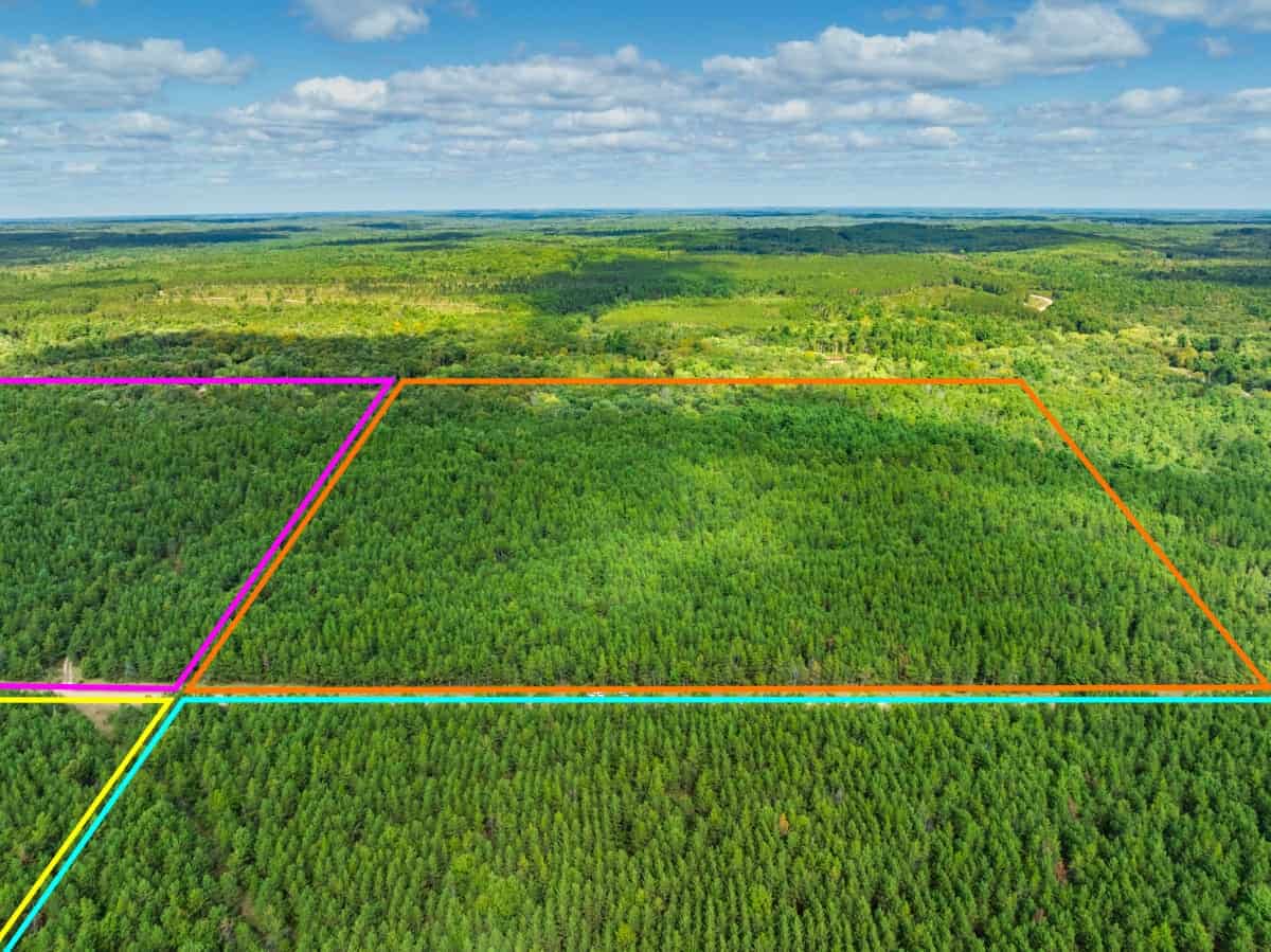43± acre timbered tract off Horse Creek Road