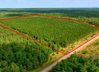 80± acres of heavily timbered recreational land featuring rolling terrain