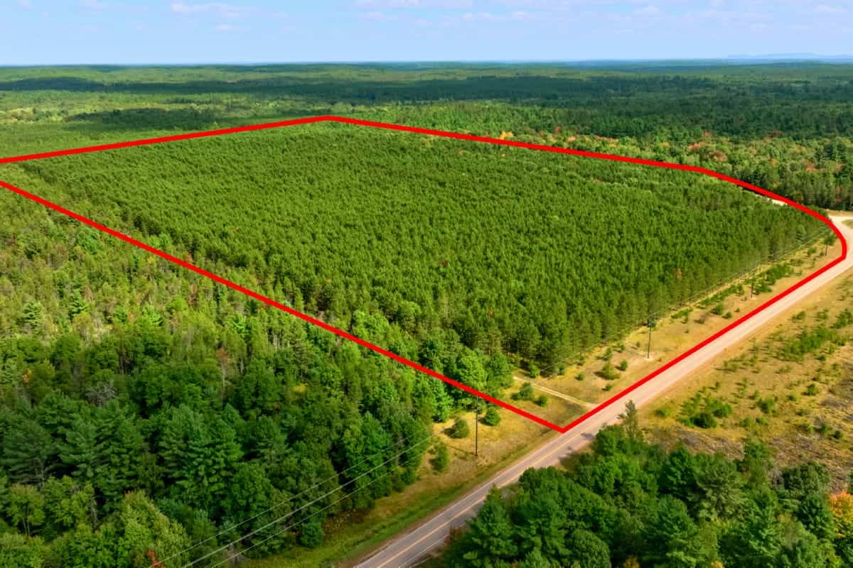 80± acres of heavily timbered recreational land featuring rolling terrain