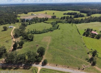 23± Acre Homesite & Pasture in Amite County, MS