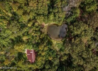 19.7+/- Acres of Wooded Land for Sale in Magnolia, MS