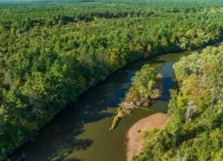 369± acres of premier recreational and hunting land in Eau Claire County