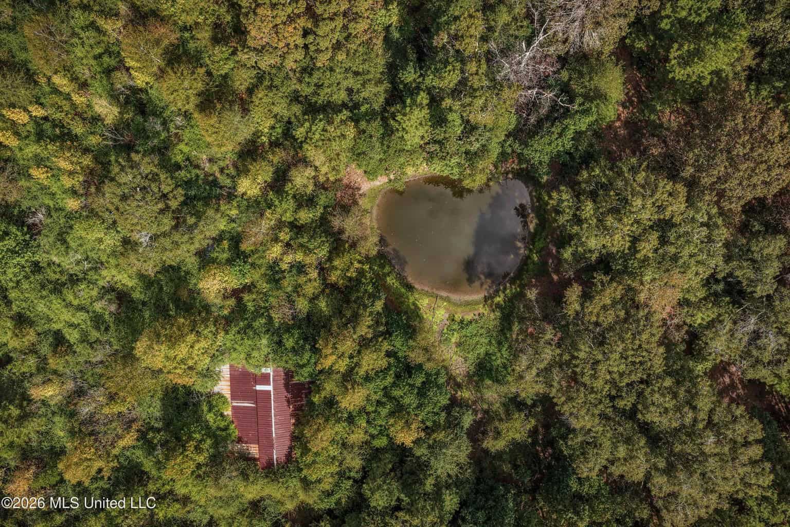 19.7+/- Acres of Wooded Land for Sale in Magnolia, MS