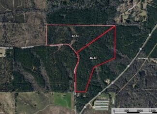 46± Acres Timber & Hunting Land in Lincoln Parish, LA