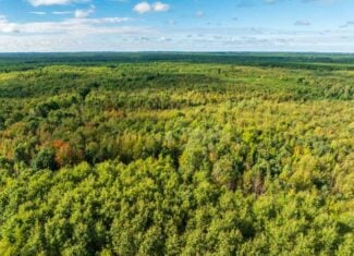 204.74± acres of premier recreational and hunting land in Eau Claire County