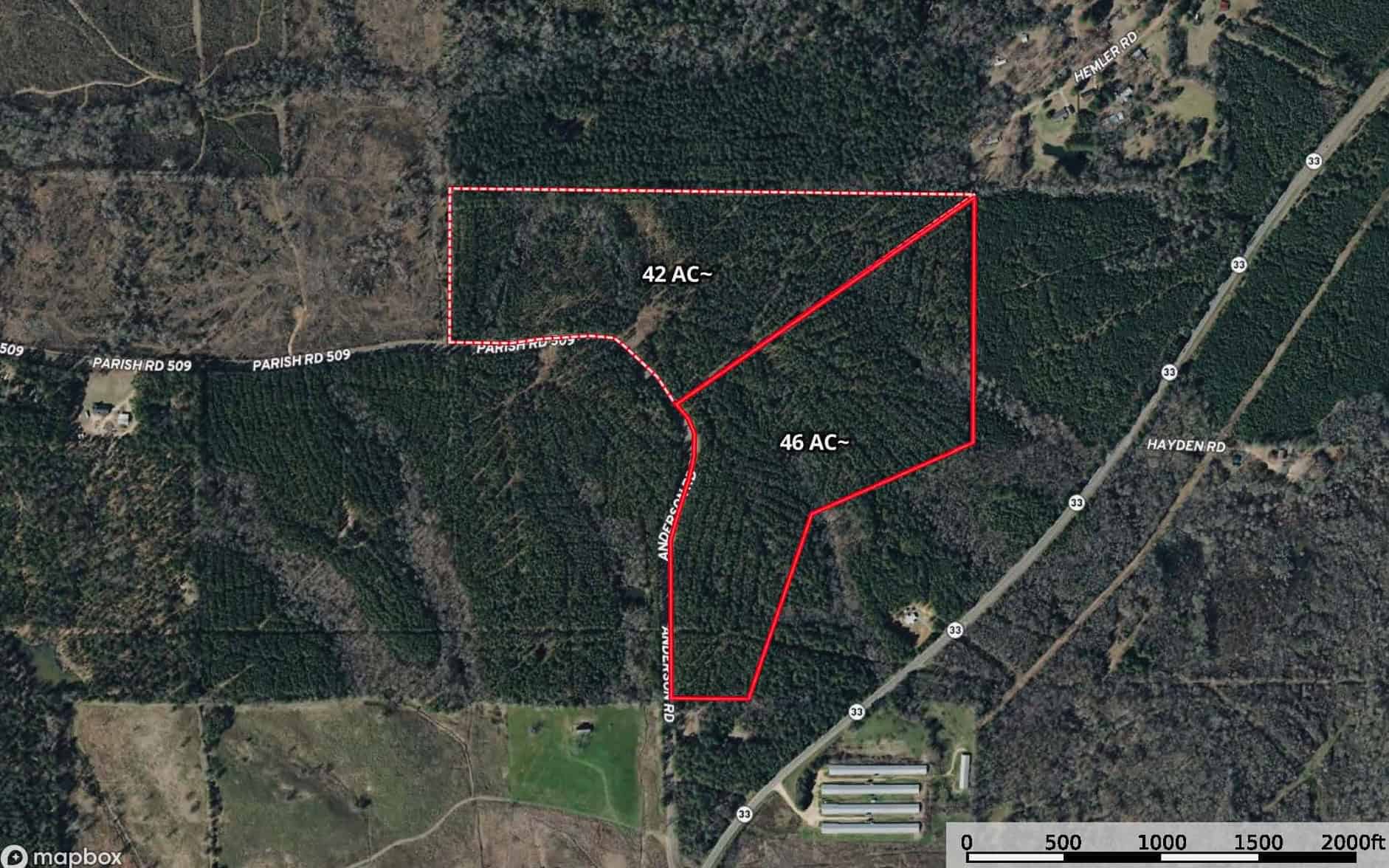46± Acres Timber & Hunting Land in Lincoln Parish, LA