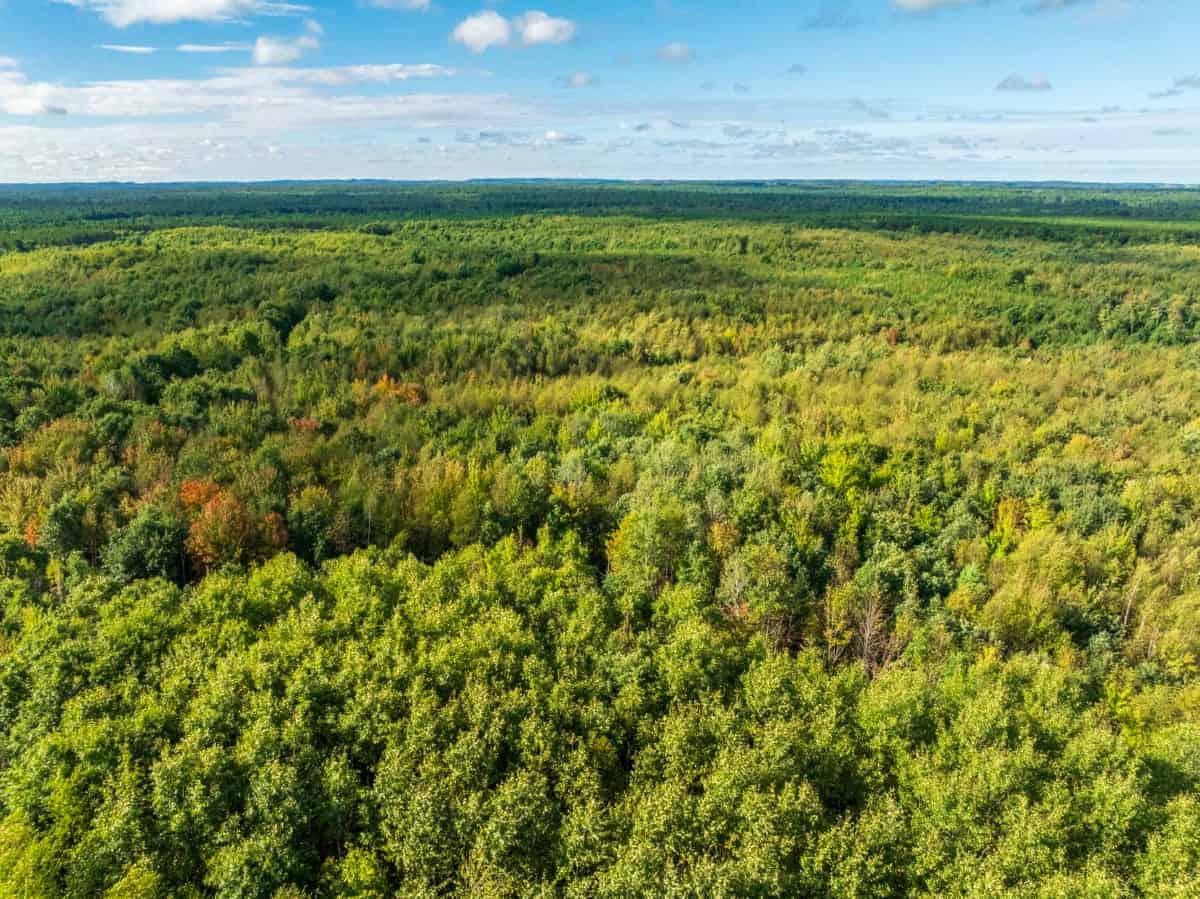 204.74± acres of premier recreational and hunting land in Eau Claire County