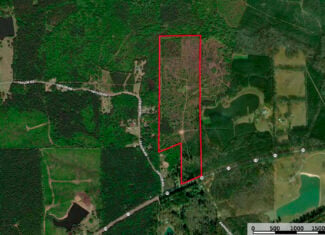 63 Acres Land For Sale Near Starkville MS