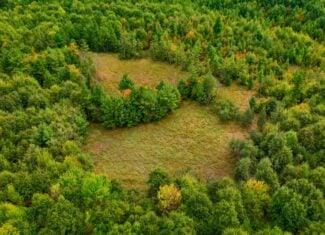 84± acres of heavily timbered recreational and hunting land in Eau Claire County