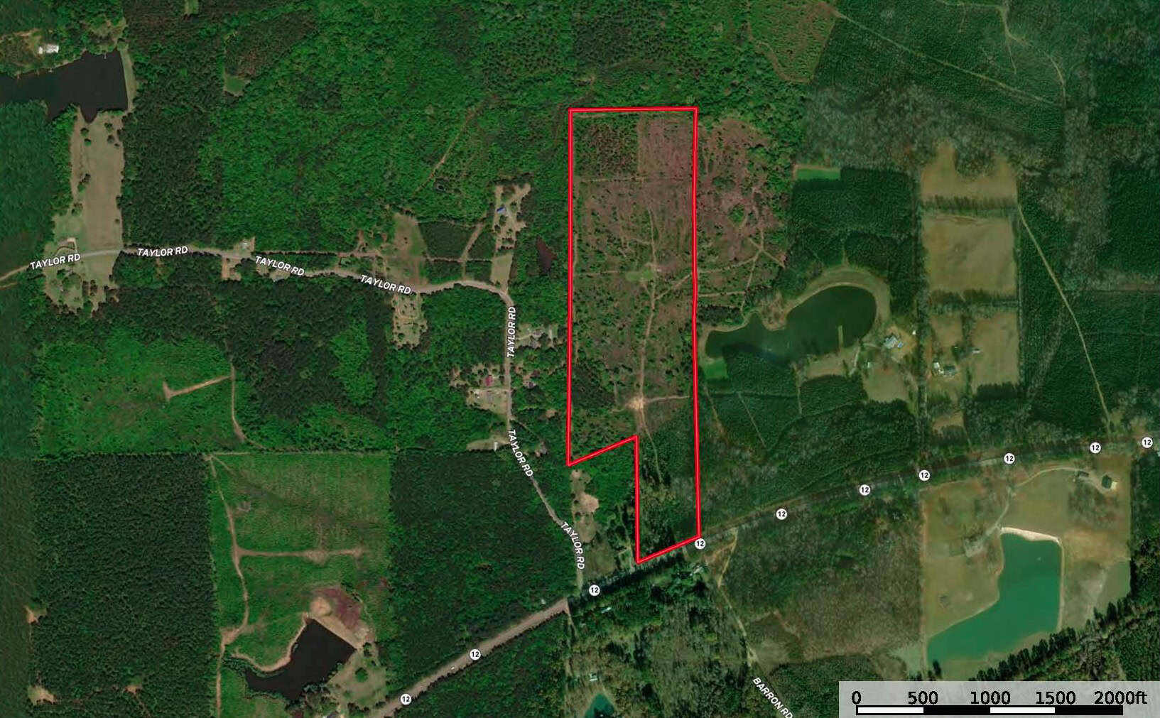 63 Acres Land For Sale Near Starkville MS