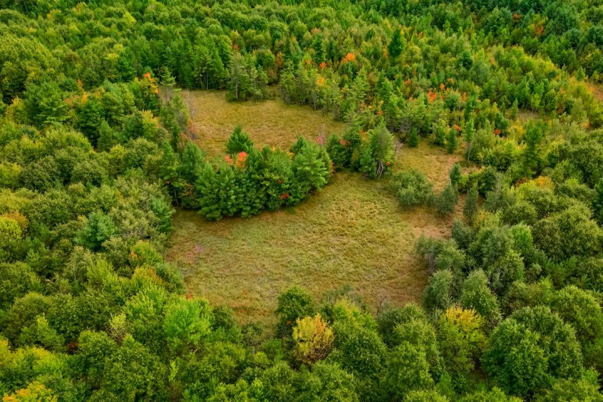 84± acres of heavily timbered recreational and hunting land in Eau Claire County