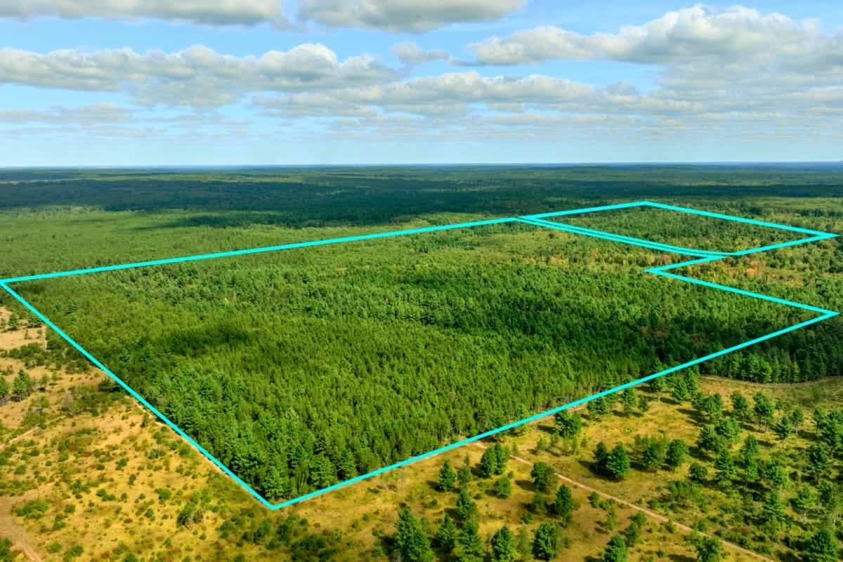 120± acres of heavily timbered hunting land in Eau Claire County