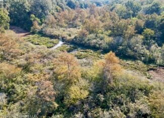 41.22 Acres MS Delta Duck Hunting