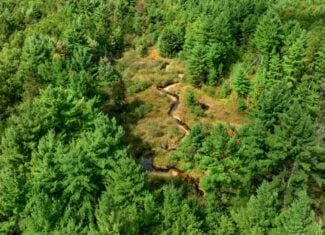 160+/- acres of Western Wisconsin hunting property Eau Claire Cty