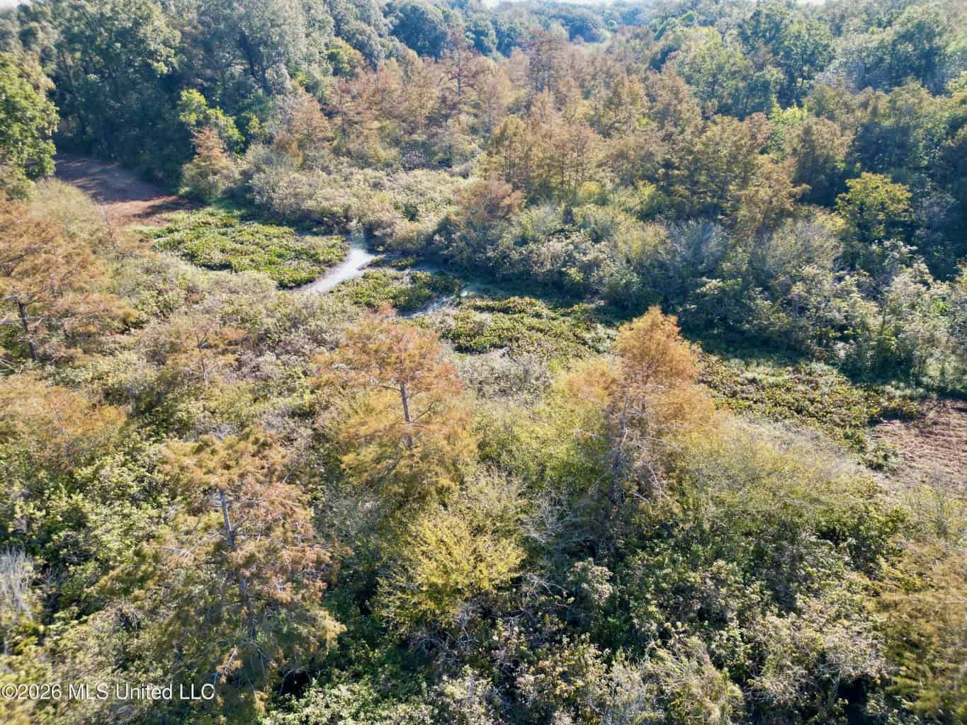 41.22 Acres MS Delta Duck Hunting