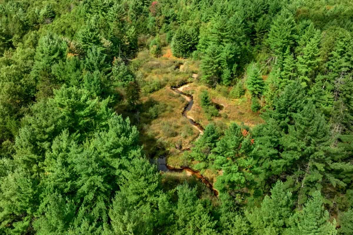 160+/- acres of Western Wisconsin hunting property Eau Claire Cty