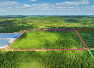 40± acres of timbered hunting and recreational land