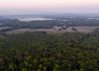 126-Acre Recreational Ranch for Sale in Mineola Texas Wood County