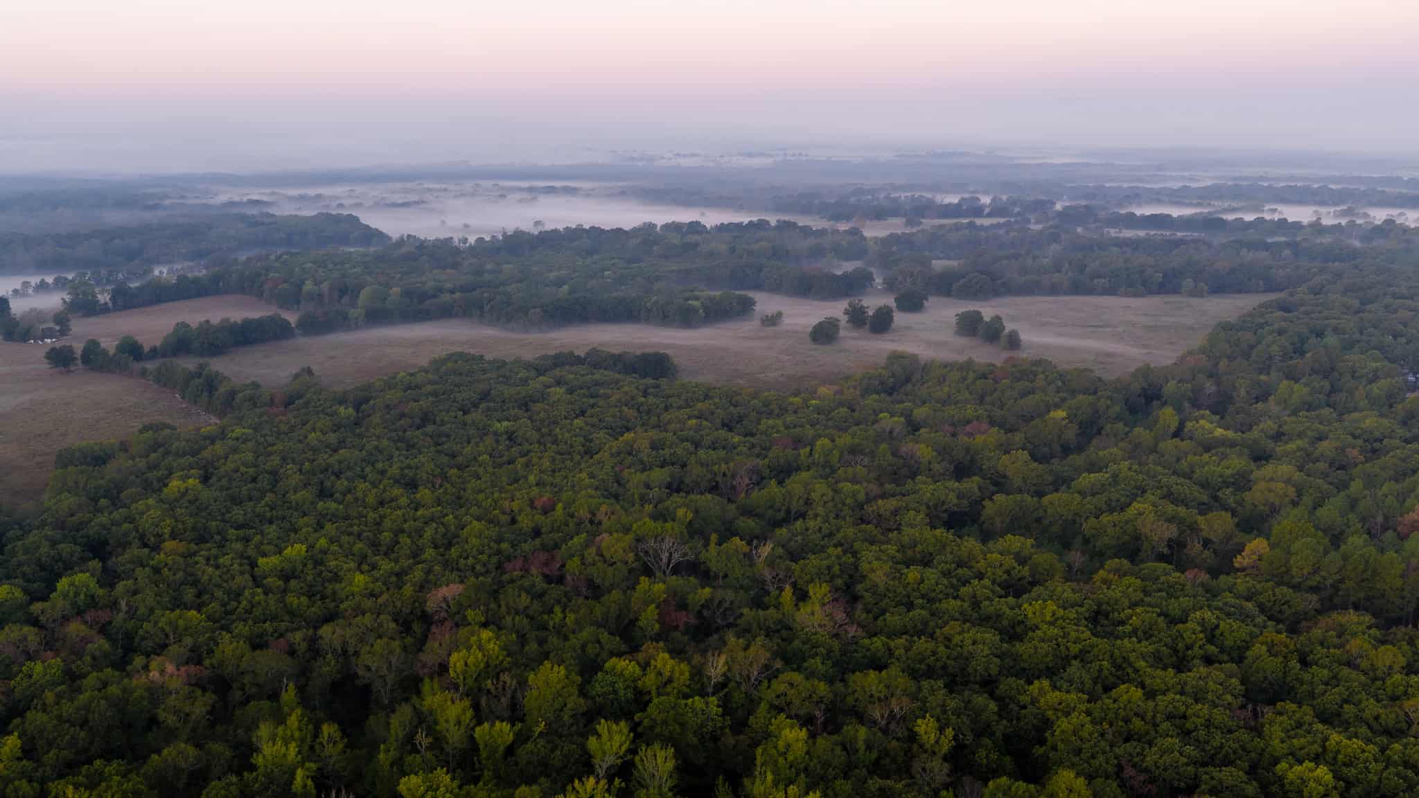 126-Acre Recreational Ranch for Sale in Mineola Texas Wood County