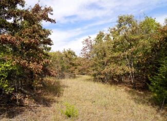 80 Acres +/- Hunting/Recreational Land For Sale Central Oklahoma