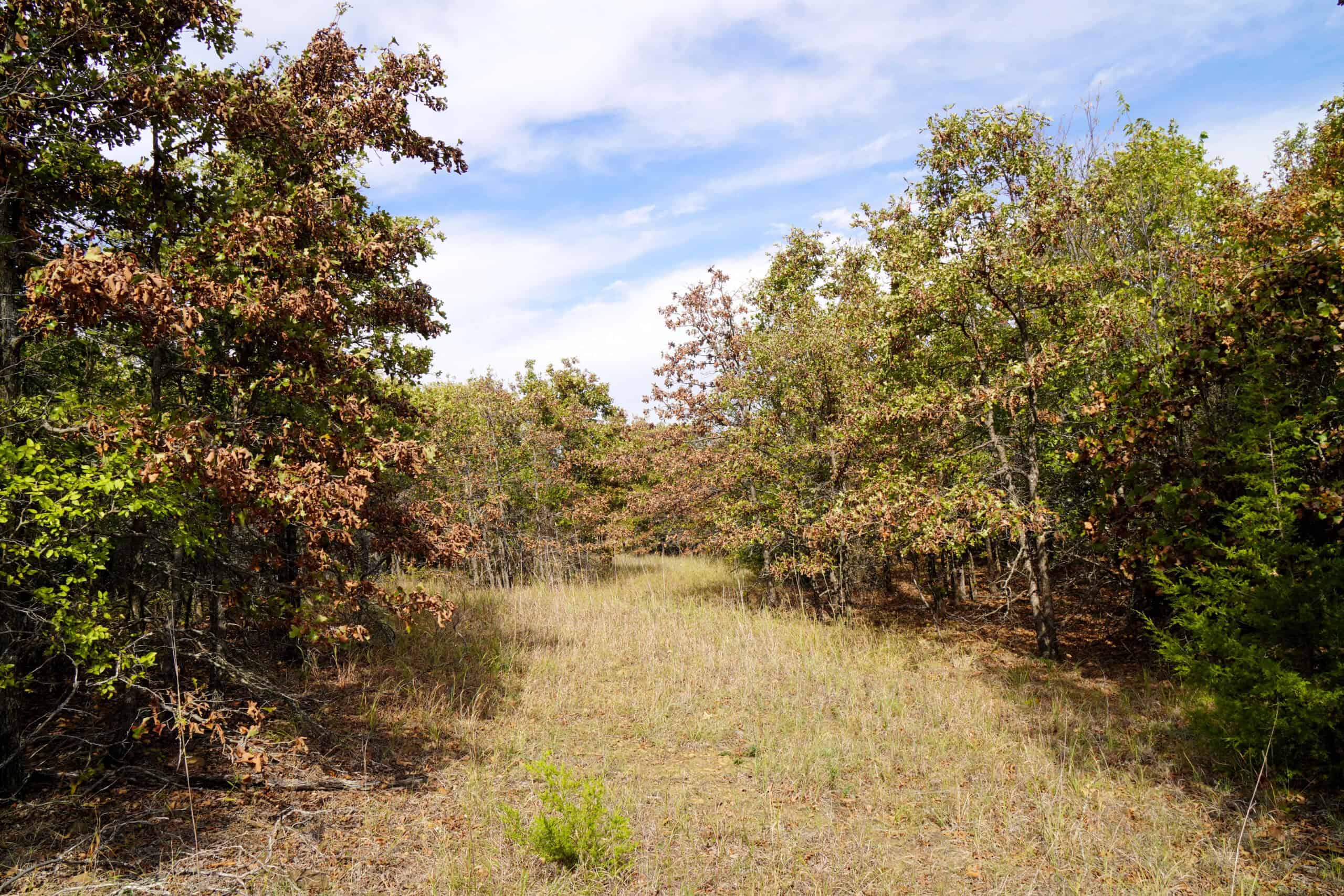 80 Acres +/- Hunting/Recreational Land For Sale Central Oklahoma