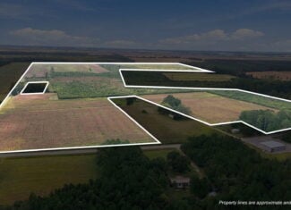 309-Acre Farm & Timberland for Sale in Beaufort County, NC