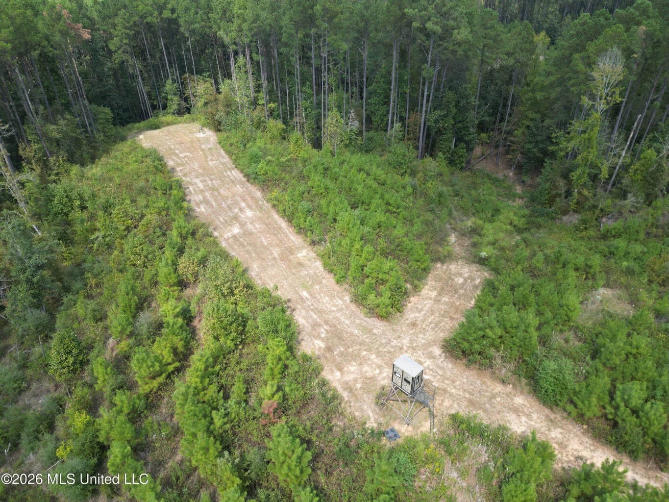 43± Acre Hunting Property in Amite County, MS
