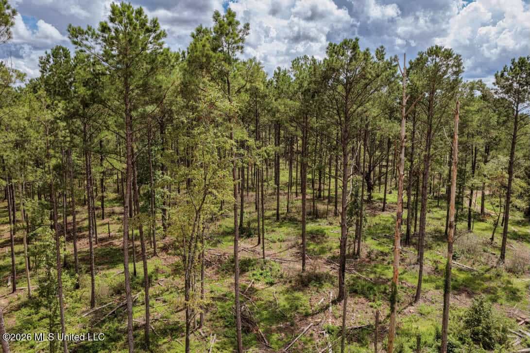 900 Acres for Sale – Hunter’s Paradise South Mississippi
