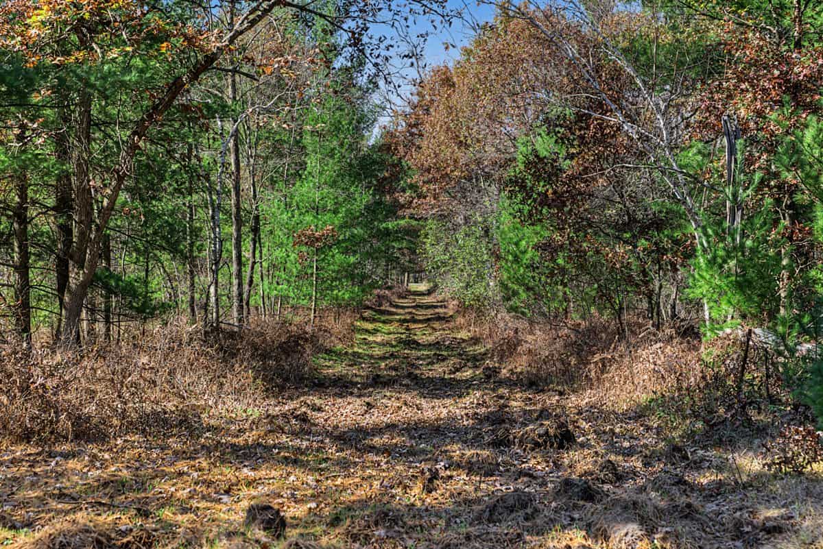 28± Acre Hunting Property with Cabin | Monroe County, Wisconsin