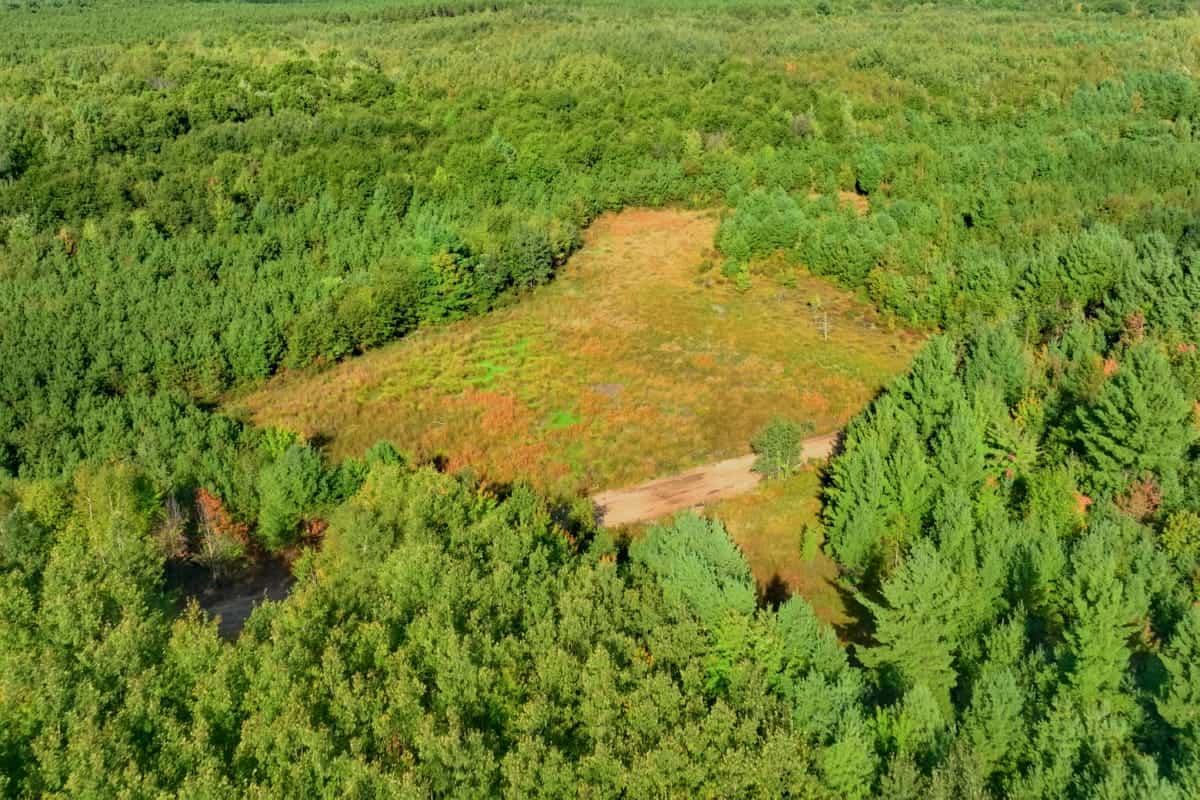 204.74± acres of premier recreational and hunting land in Eau Claire County