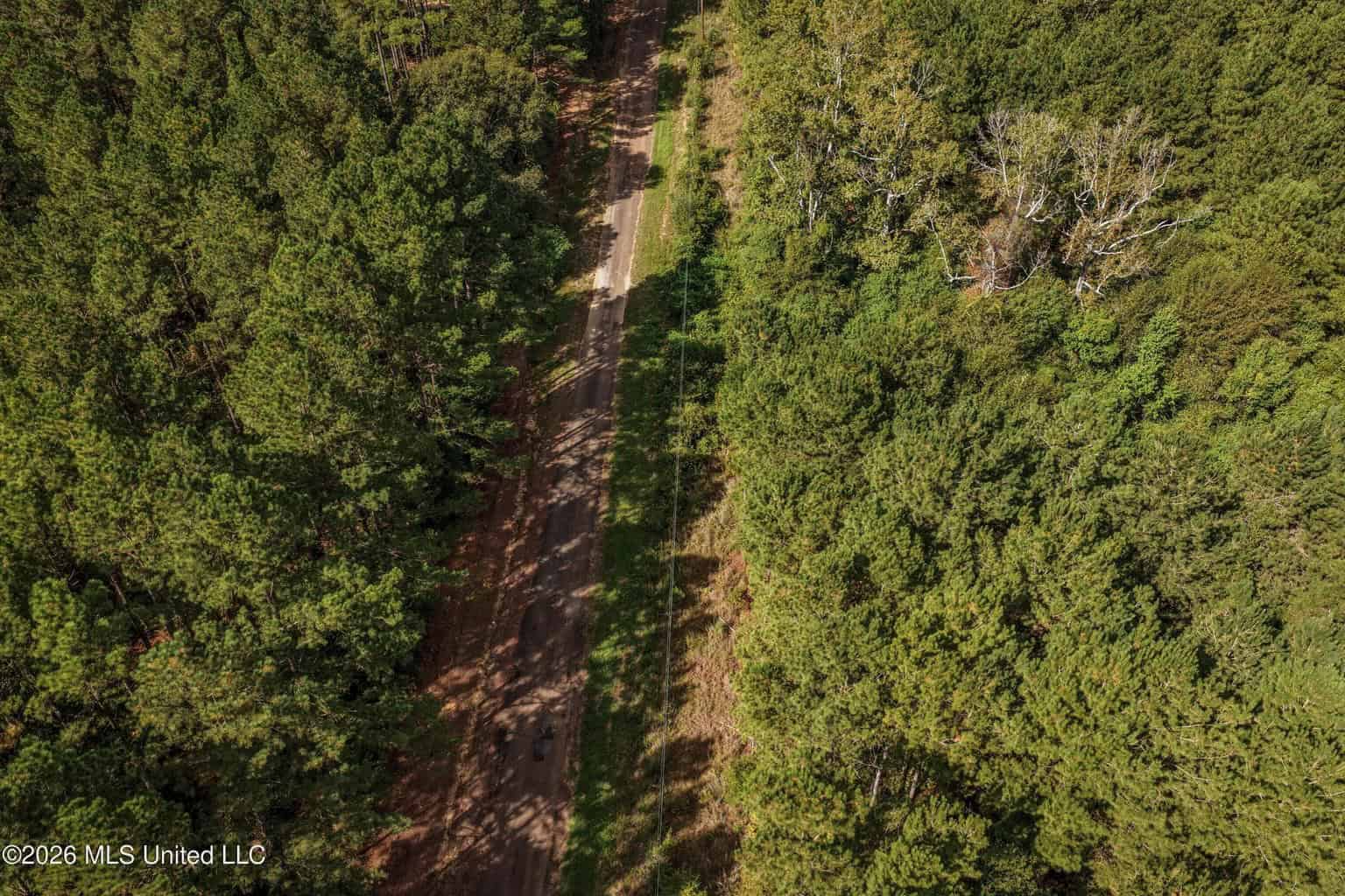 19.7+/- Acres of Wooded Land for Sale in Magnolia, MS