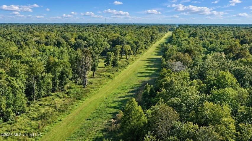 1979± Acre Hunting Plantation in White Castle, LA