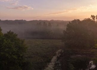 126-Acre Recreational Ranch for Sale in Mineola Texas Wood County