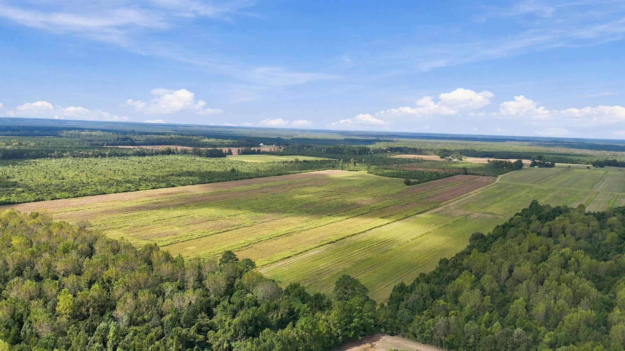 309-Acre Farm & Timberland for Sale in Beaufort County, NC
